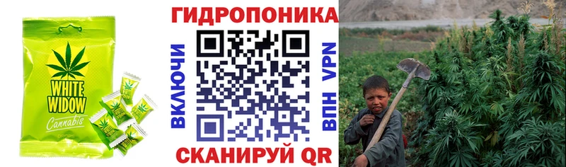 как найти   блэк спрут онион  Canna-Cookies марихуана  Юрга 
