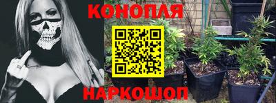 гашик Малгобек