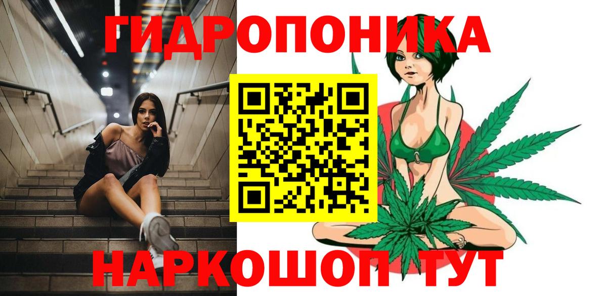 Конопля план  Вход с VPN  Канабис OG Kush  Шишки марихуана индика  Юрга 